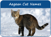 Aegean Cat Names