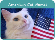 American Cat Names