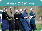 Amish Cat Names