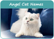 Angel Cat Names