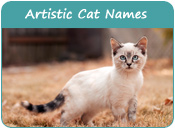 Artistic Cat Names