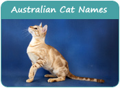 Australian Cat Names
