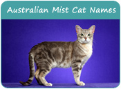 Australian Mist Cat Names