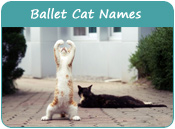 Ballet Cat Names