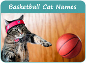 Basketball Cat Names