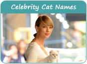 Celebrity Cat Names