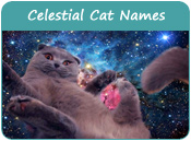 Celestial Cat Names