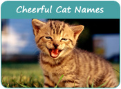 Cheerful Cat Names