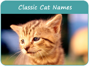 Classic Cat Names