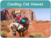 Cowboy Cat Names