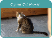 Cyprus Cat Names