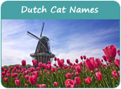 Dutch Cat Names