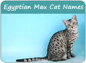 Egyptian Mau Cat Names