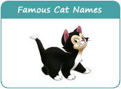 Famous Cat Names