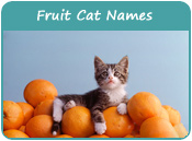 Fruit Cat Names