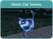 Ghost Cat Names