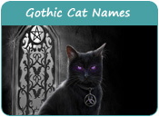 Gothic Cat Names
