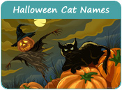 Halloween Cat Names