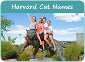 Harvard Cat Names