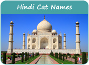 Hindi Cat Names