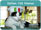 Italian Cat Names