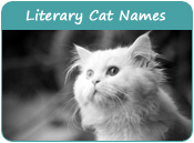 Literary Cat Names