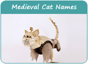 Medieval Cat Names