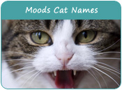 Moods Cat Names