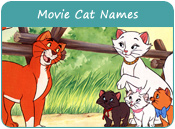 Movie Cat Names