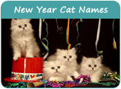 New Year Cat Names