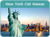 New York Cat Names