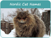 Nordic Cat Names