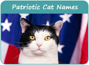 Patriotic Cat Names