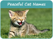 Peaceful Cat Names