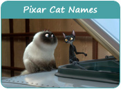 Pixar Cat Names
