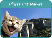 Places Cat Names