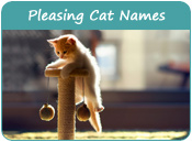 Pleasing Cat Names
