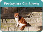 Portuguese Cat Names