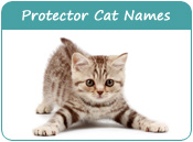 Protector Cat Names