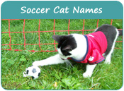 Soccer Cat Names