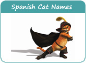 Spanish Cat Names