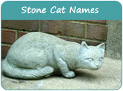 Stone Cat Names