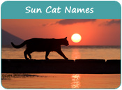 Sun Cat Names