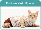 Trendy Cat Names