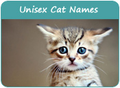 Unisex Cat Names
