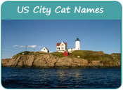 US City Cat Names