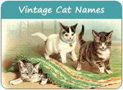 Vintage Cat Names