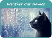 Weather Cat Names