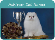 Achiever Cat Names