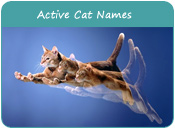 Active Cat Names